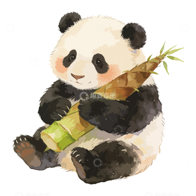 源文件下载【趣麦麦图】-卡通熊猫吃竹子插画