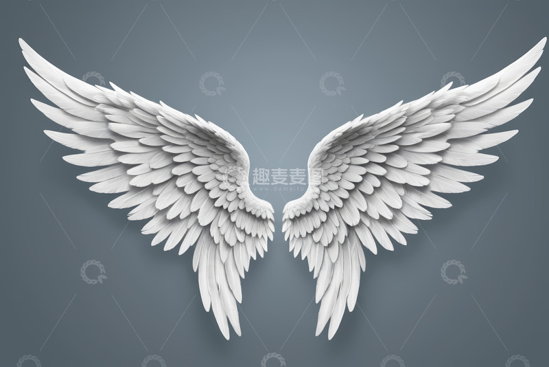 高清大图下载【趣麦麦图】白色天使翅膀设计素材