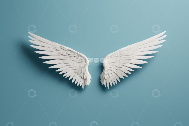 高清大图下载【趣麦麦图】白色天使翅膀设计素材