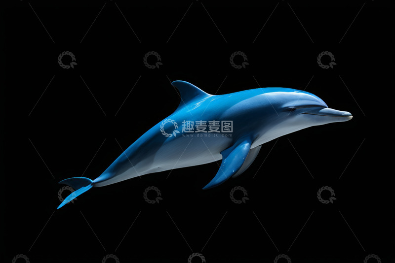 高清大图下载【趣麦麦图】蓝色海豚特写