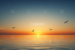 海上日出飞鸟景致