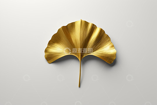 金色银杏叶特写素材
