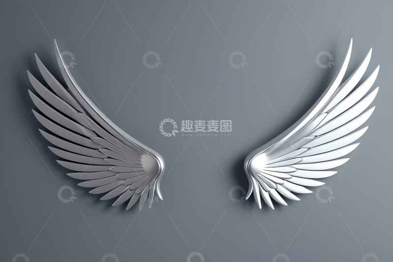 高清大图下载【趣麦麦图】金属质感双翼图案素材