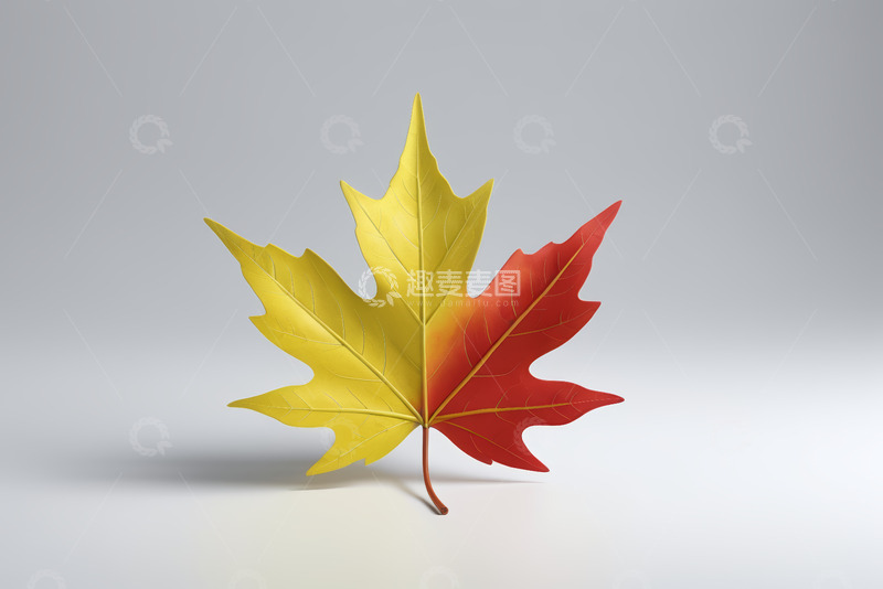 高清大图下载【趣麦麦图】红黄渐变枫叶特写