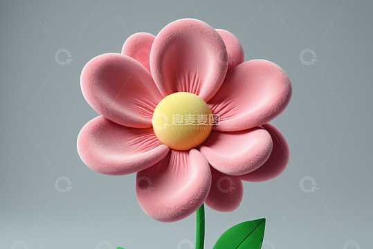粉色花朵微距特写