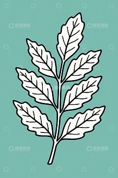简约手绘植物叶片插图
