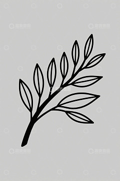 简约线条植物枝叶图案