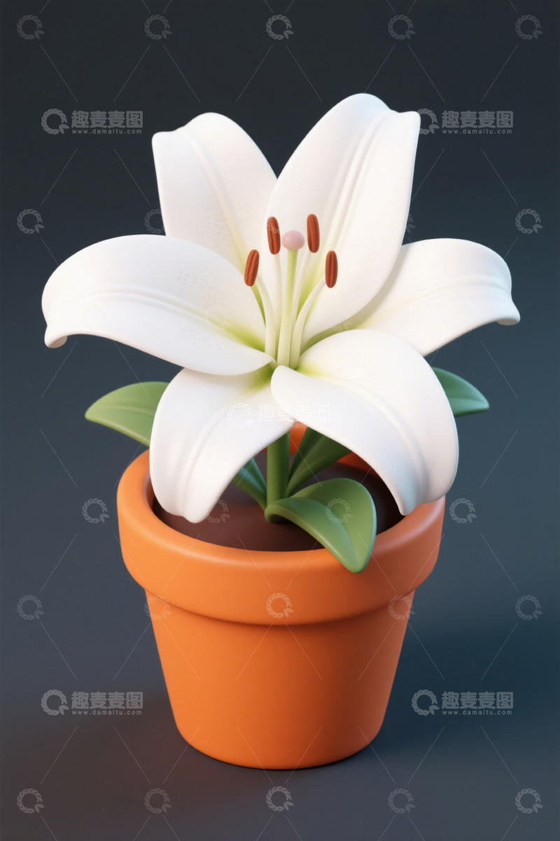 高清大图下载【趣麦麦图】盆栽白色百合花特写