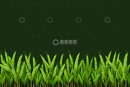 绿色小麦植物背景图