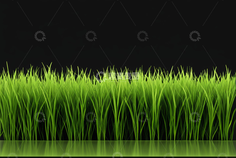 高清大图下载【趣麦麦图】黑色背景下的绿色草丛
