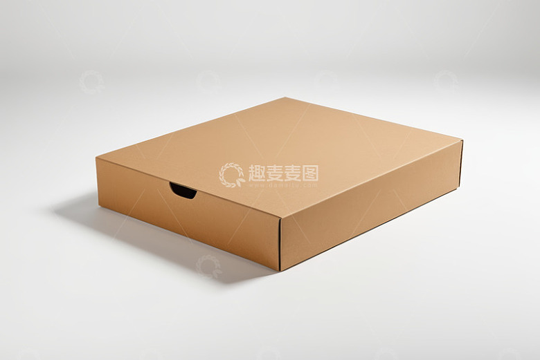 棕色纸箱产品包装展示