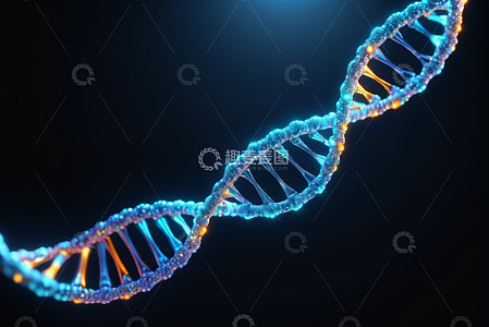 DNA双螺旋结构特写