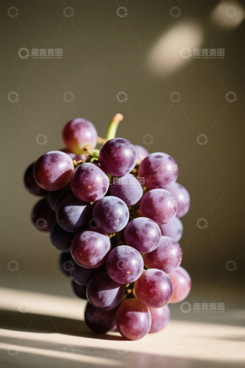 高清大图下载【趣麦麦图】新鲜紫葡萄特写