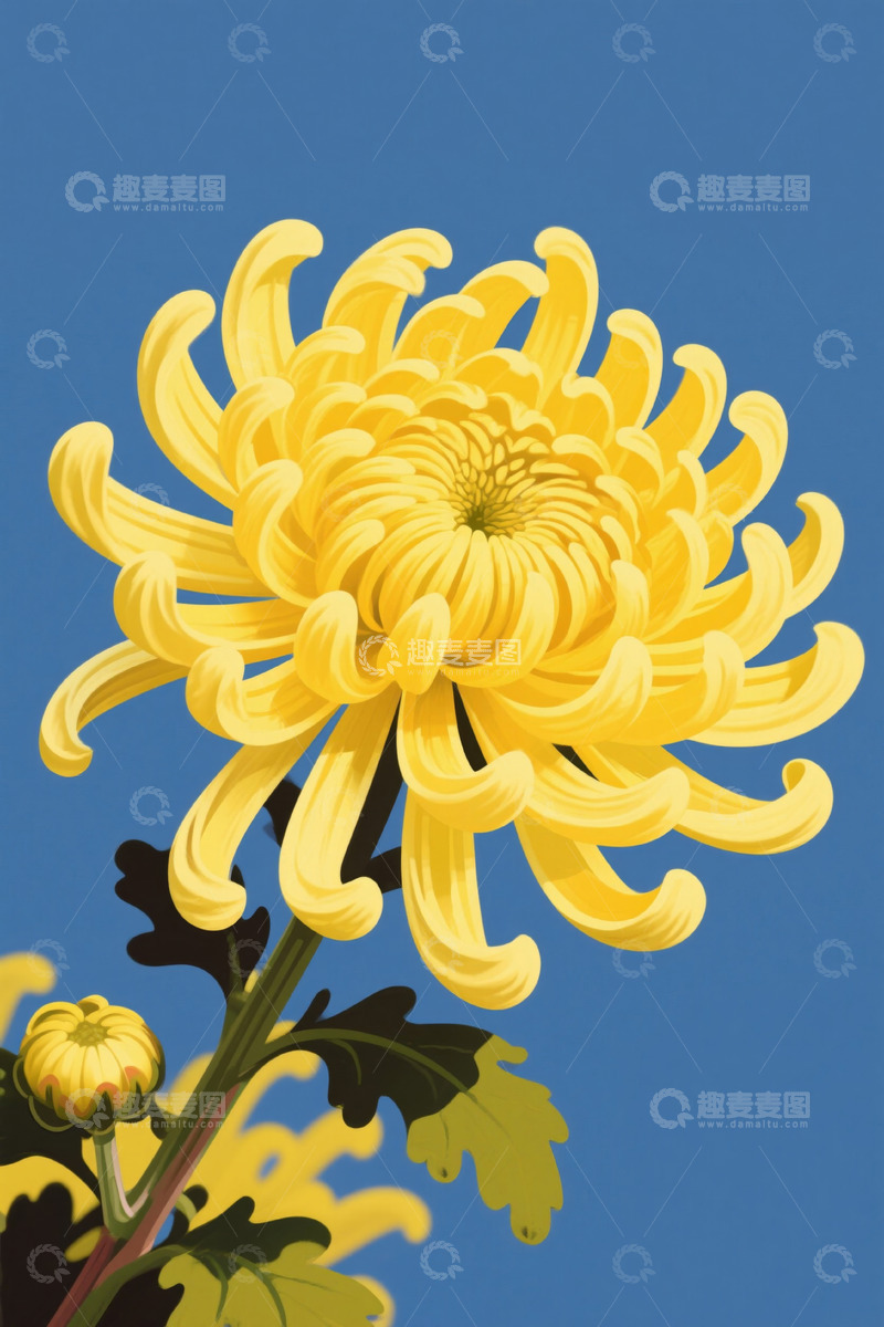 高清大图下载【趣麦麦图】黄色菊花特写