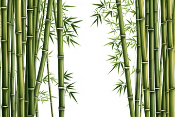 翠绿竹林背景素材