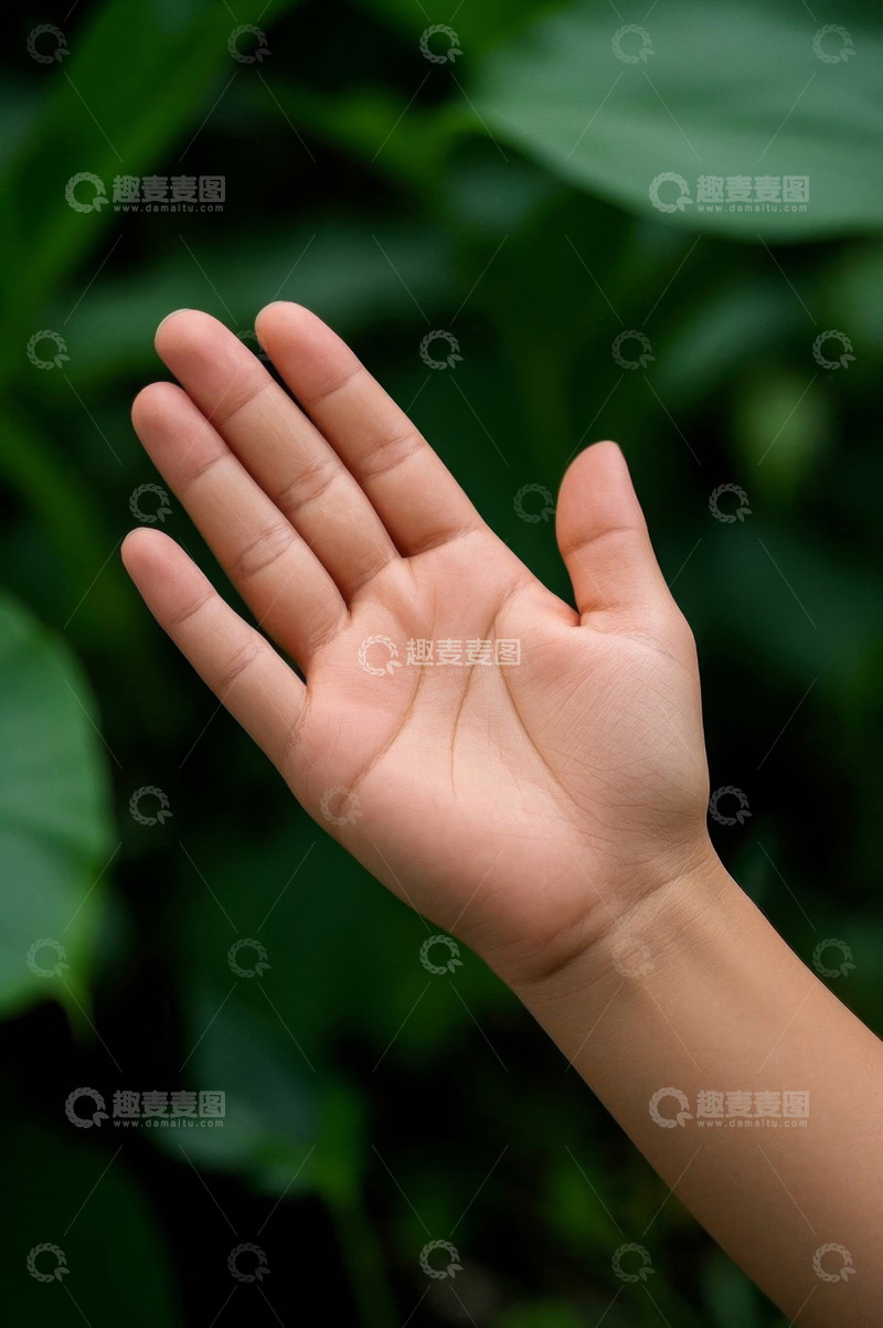 高清大图下载【趣麦麦图】手掌特写与自然背景