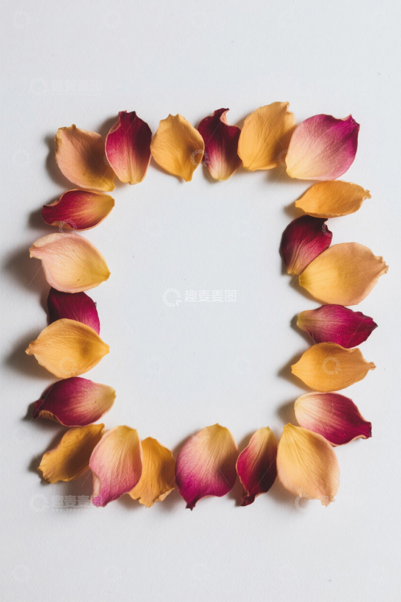 高清大图下载【趣麦麦图】玫瑰花瓣组成的方形图案