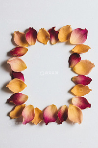 玫瑰花瓣组成的方形图案