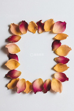 玫瑰花瓣组成的方形图案