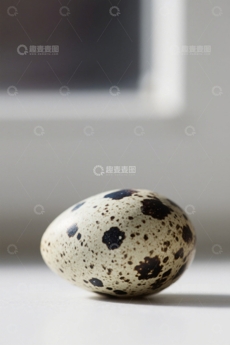 高清大图下载【趣麦麦图】特写鹌鹑蛋静物