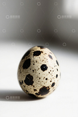 特写鹌鹑蛋静物摄影素材