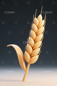麦穗特写素材