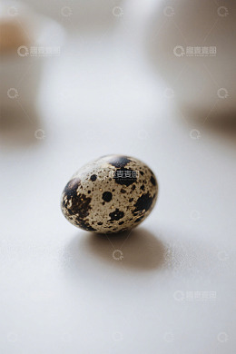 特写鹌鹑蛋静物素材