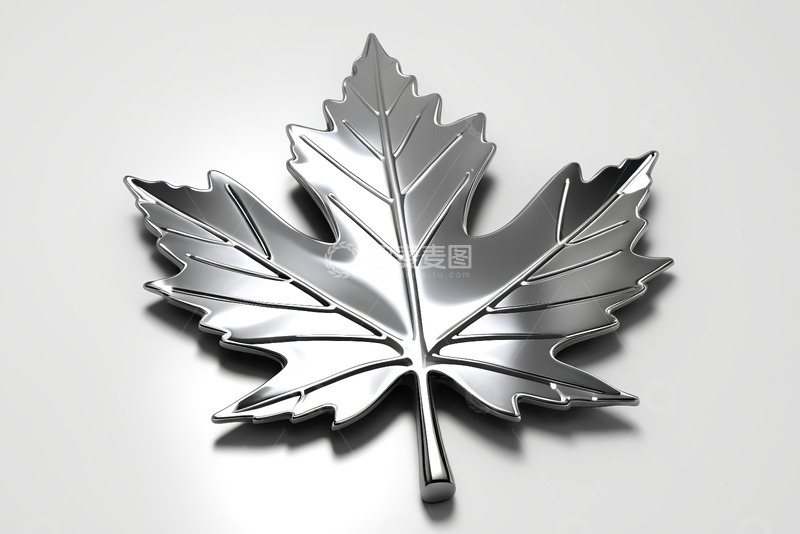 高清大图下载【趣麦麦图】金属质感枫叶立体图标