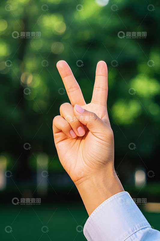 户外手势特写：比V的手