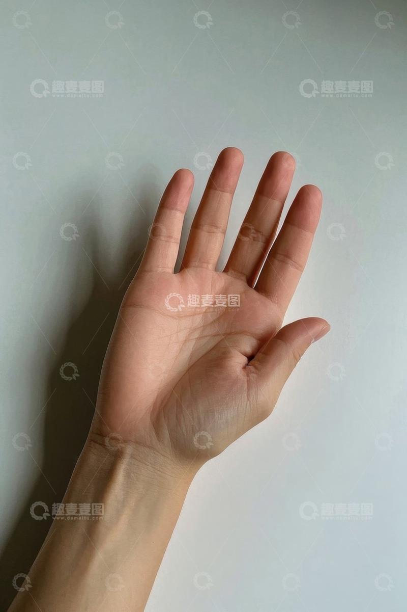 高清大图下载【趣麦麦图】张开的手掌特写素材