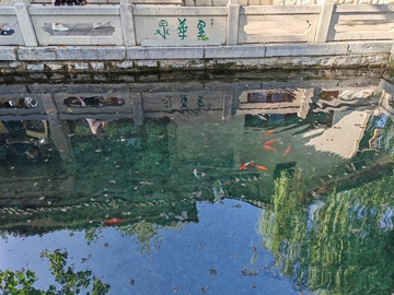 古桥鱼影风景画