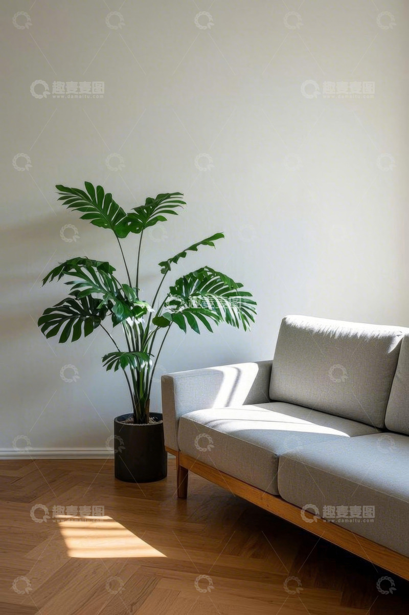 高清大图下载【趣麦麦图】室内现代沙发与绿植装饰