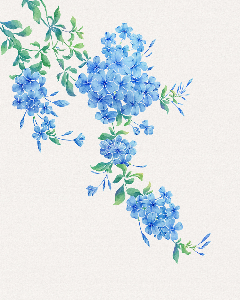 源文件下载【趣麦麦图】蓝雪花水彩花卉装饰图案设计素材