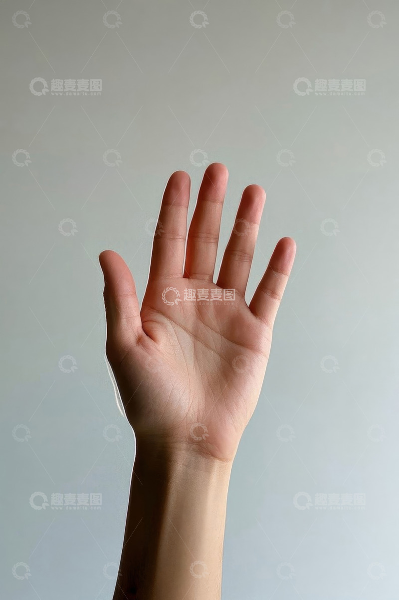 高清大图下载【趣麦麦图】特写展示张开的手掌