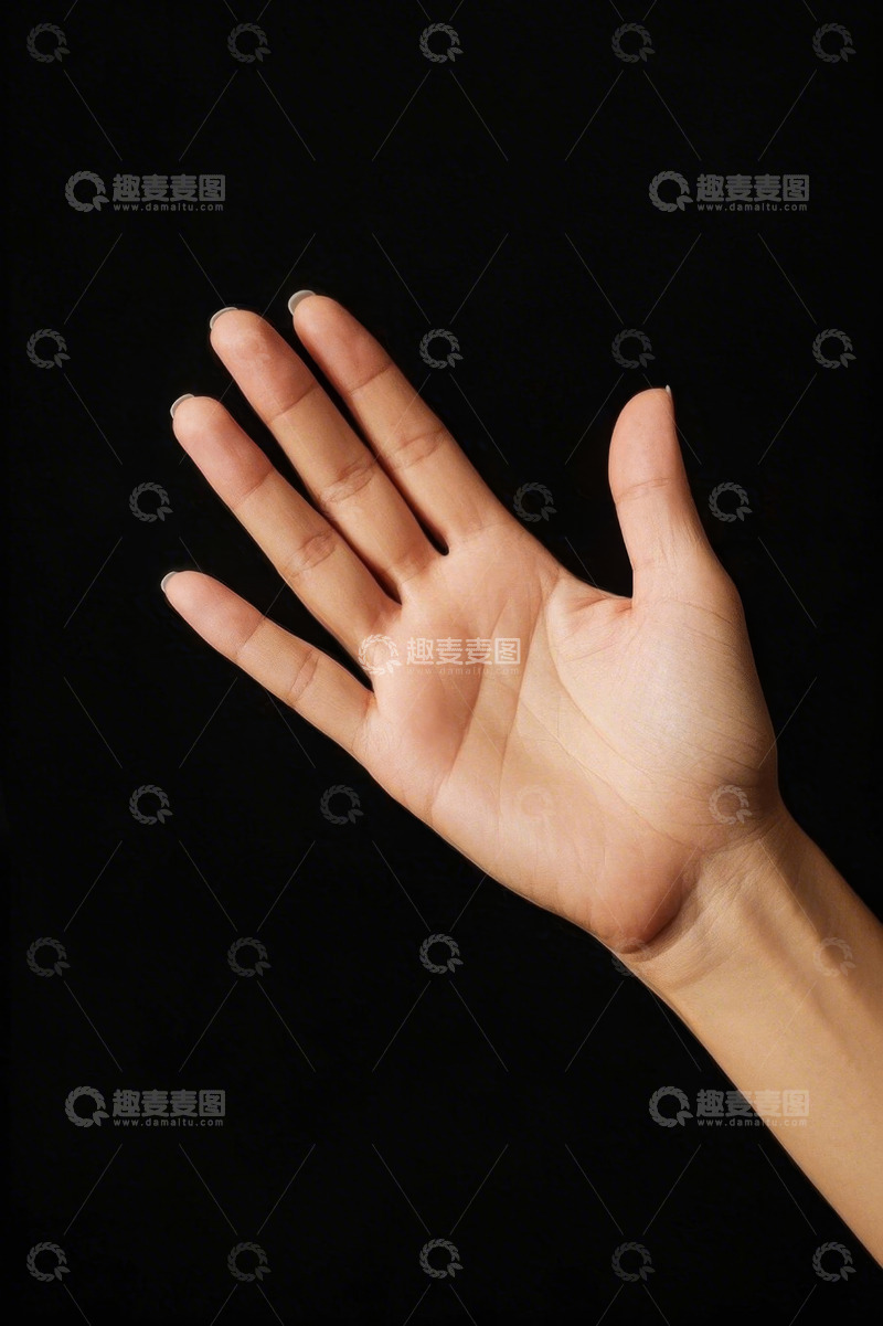 高清大图下载【趣麦麦图】张开的手掌特写