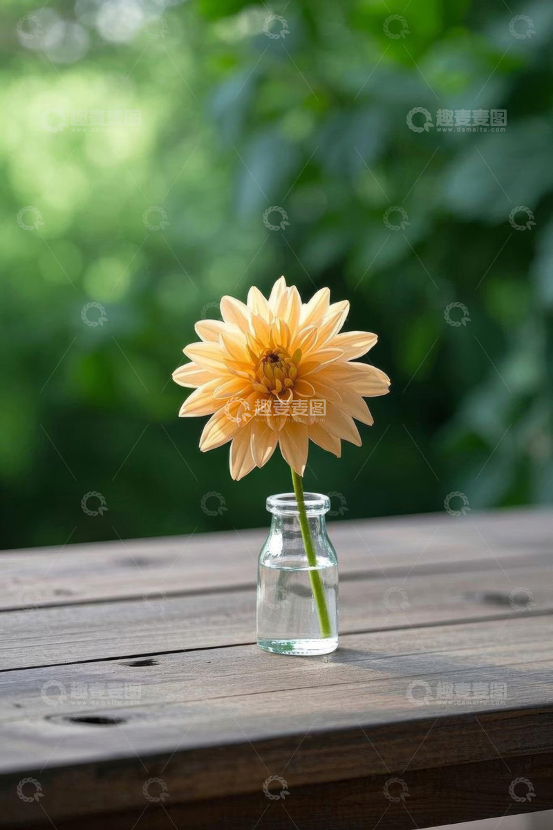 高清大图下载【趣麦麦图】木桌上玻璃瓶中的黄色花朵
