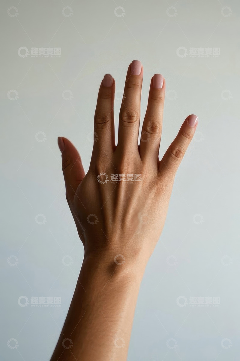 高清大图下载【趣麦麦图】女性手部特写