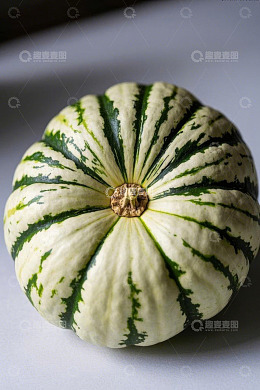 特写条纹南瓜静物