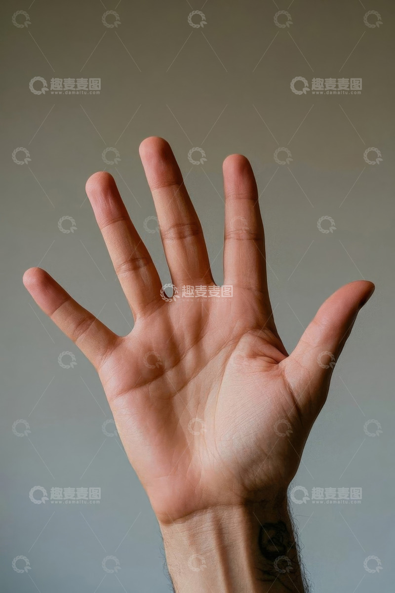 高清大图下载【趣麦麦图】展示手掌的手部特写