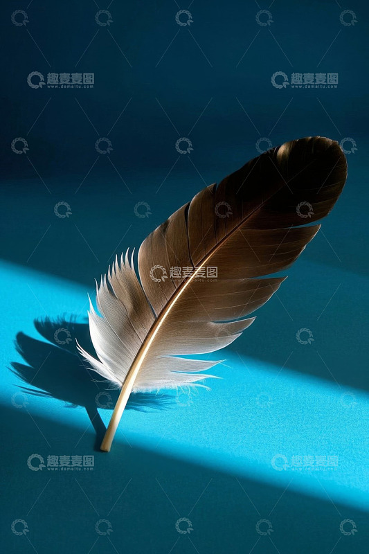 蓝色背景上的单根羽毛