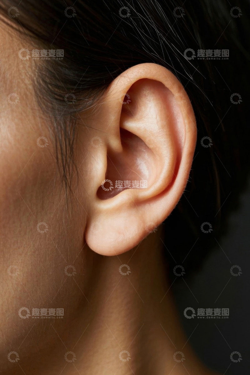 高清大图下载【趣麦麦图】女性耳朵特写素材