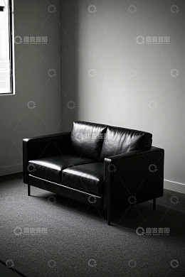 室内黑色皮质双人沙发