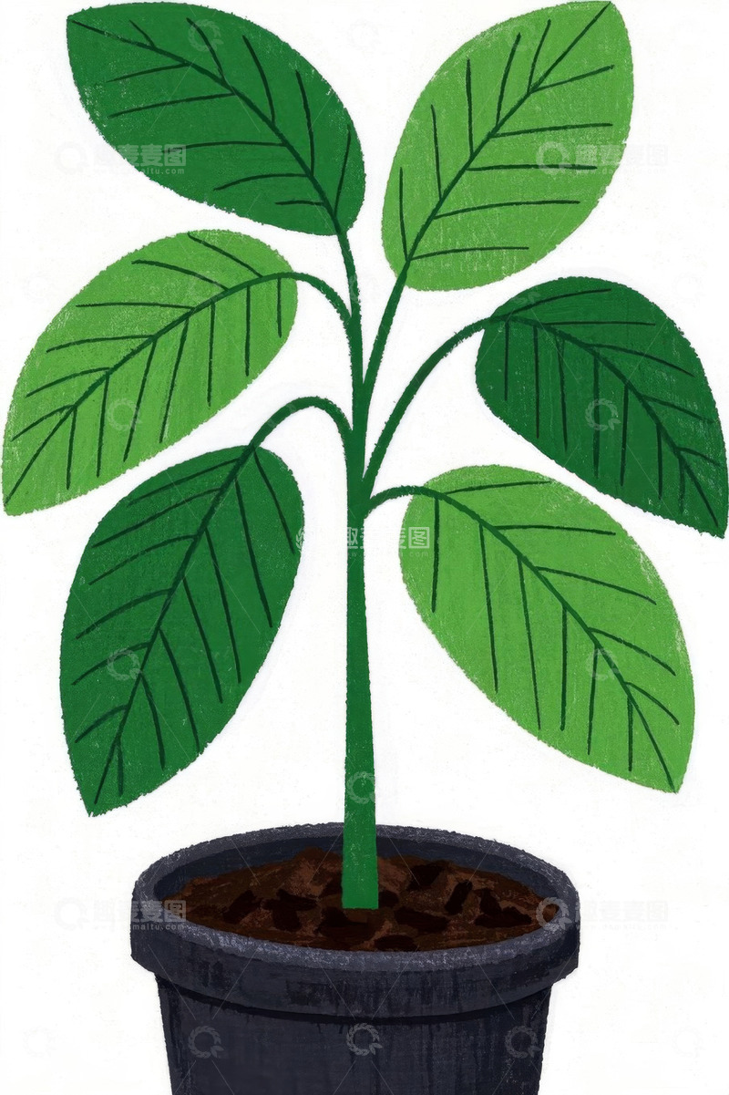 高清大图下载【趣麦麦图】盆栽绿植插画