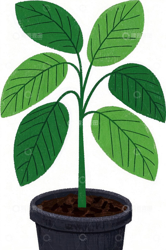 盆栽绿植插画