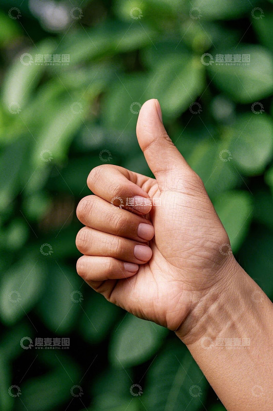 手竖大拇指特写