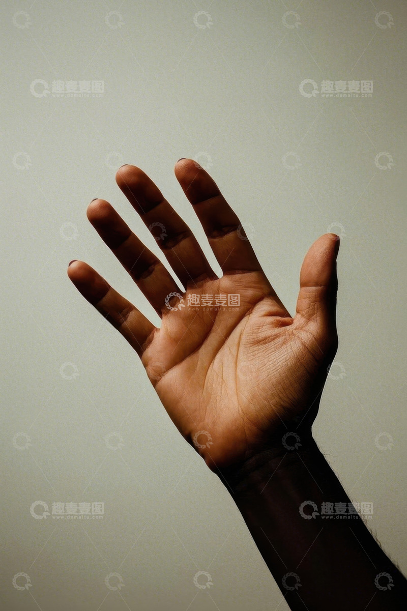 高清大图下载【趣麦麦图】张开的手掌特写素材