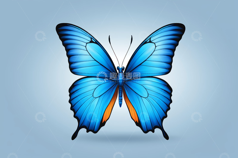 高清大图下载【趣麦麦图】蓝色蝴蝶插画素材