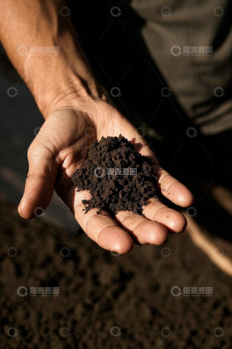 高清大图下载【趣麦麦图】手捧肥沃土壤画面