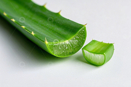 切开的芦荟植物特写