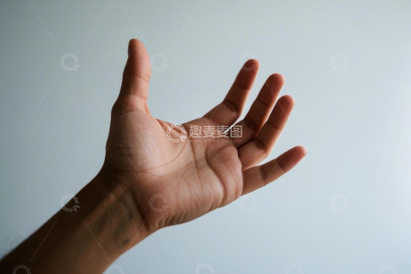 高清大图下载【趣麦麦图】手掌特写